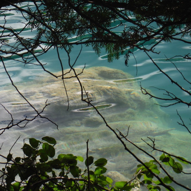 submerged reef in a lake